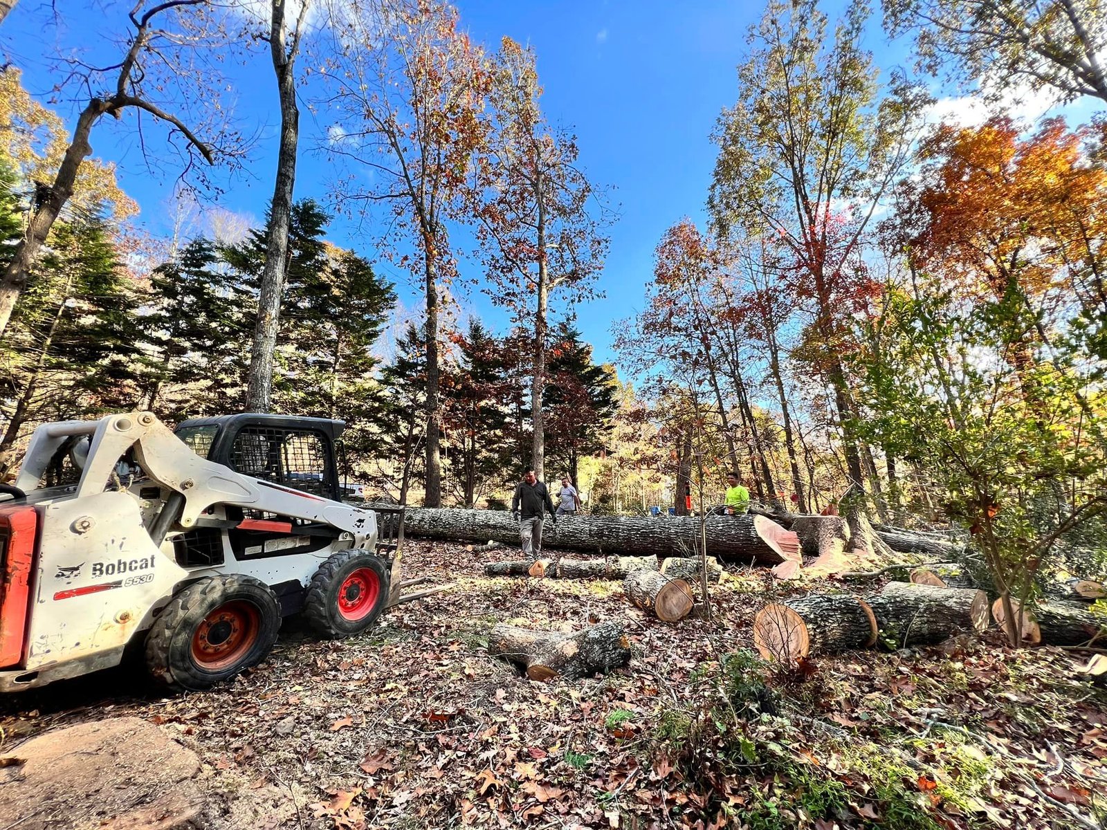 Stump Grinding